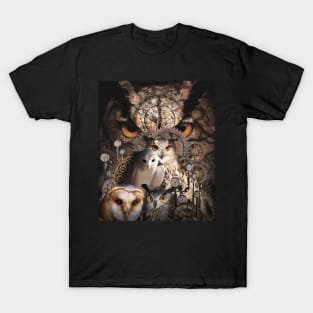 Steampunk Owl Magic Clockwork Dark Clock Owls Vintage Retro T-Shirt